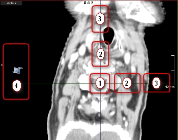 Επισκόπηση πλοήγησης