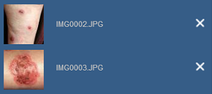 Παράδειγμα εικόνων σε μικρογραφία