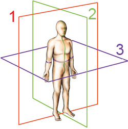 Γραφικό που δείχνει το στεφανιαίο, το οβελιαίο και το εγκάρσιο επίπεδο.